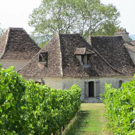 Le Sauvignon *